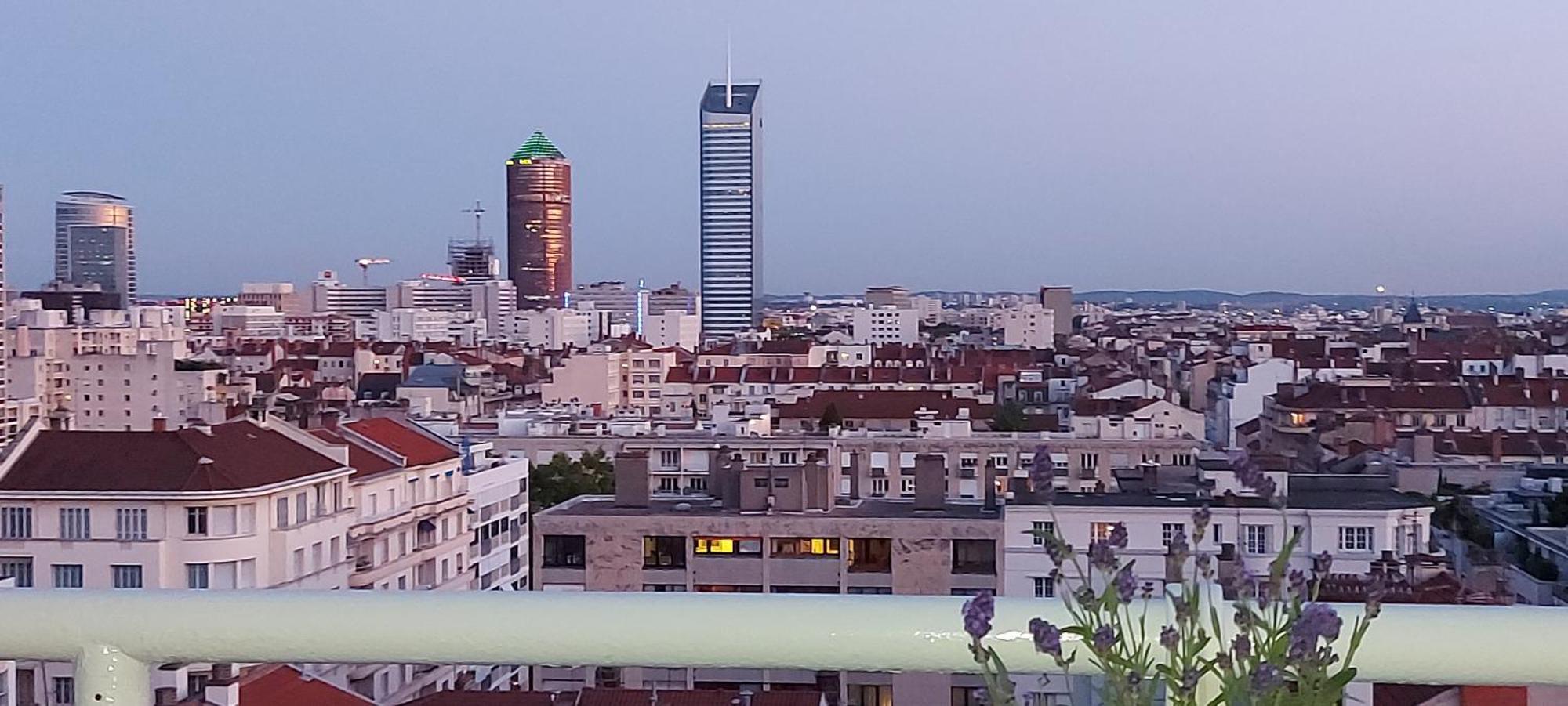 Plein Sud Terrasse Climatisation Garage Netflix Daire Lyon Oda fotoğraf