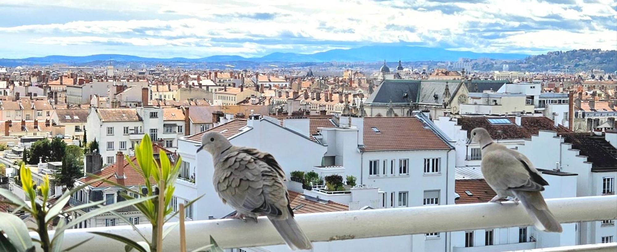 Plein Sud Terrasse Climatisation Garage Netflix Daire Lyon Dış mekan fotoğraf