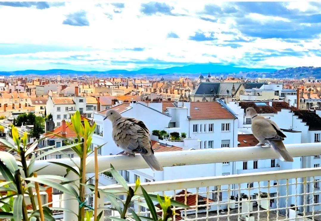 Plein Sud Terrasse Climatisation Garage Netflix Daire Lyon Oda fotoğraf