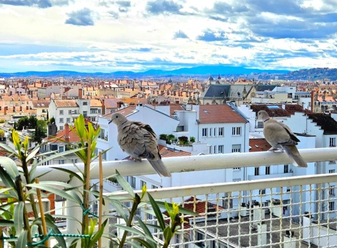 Plein Sud Terrasse Climatisation Garage Netflix Daire Lyon Oda fotoğraf